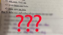 Học sinh cấp 1 làm bài tập điền câu tục ngữ: Toàn chế ra những câu giời ơi đất hỡi, giáo viên chấm bài cười muốn bung phổi!
