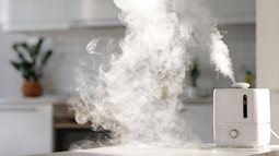 Miền Bắc đang rất hanh khô, bạn đừng quên 4 mẹo nhỏ giúp bổ sung độ ẩm hiệu quả trong nhà