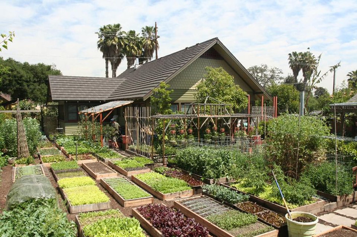 Gia đình nhiều thế hệ chung sống hạnh phúc bên ngôi nhà yên bình cùng mảnh vườn trồng rau quả sạch rộng 4000m2 - Ảnh 1.