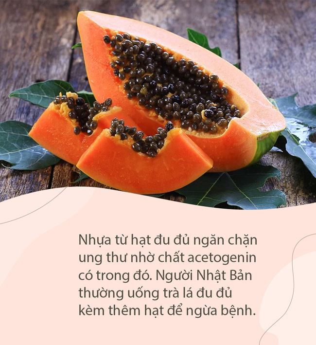 Trong đu đủ có một thứ được mệnh danh là 