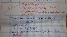 Học sinh cấp 1 viết văn tả trường học: Đọc dòng cuối mà cô tức đỏ mặt, cho ngay điểm 0 kèm hình phạt chép 50 lần nội quy