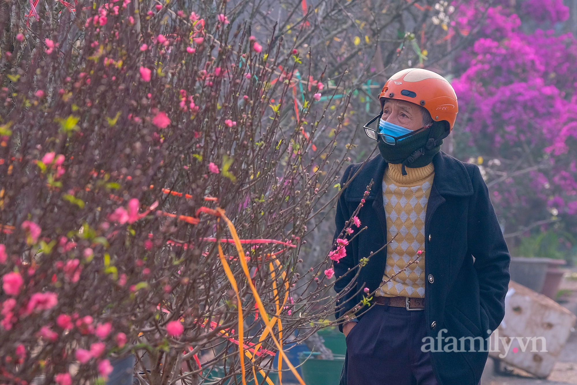 Đào Nhật Tân xuống phố sớm, khách mở hàng trả giá rẻ, tiểu thương thà ế chứ không bán - Ảnh 3.