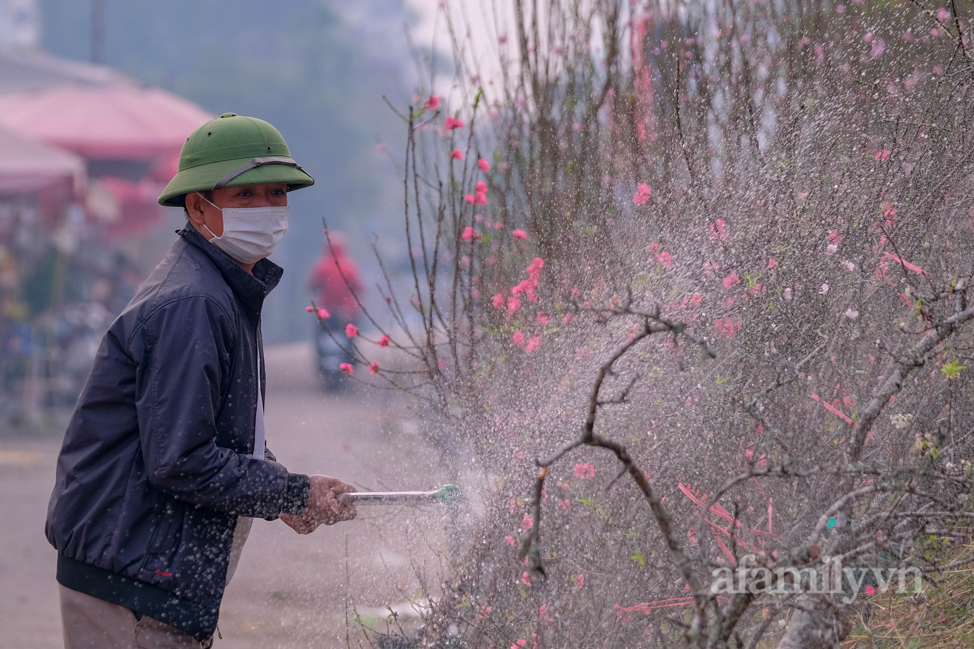 Đào Nhật Tân xuống phố sớm, khách mở hàng trả giá rẻ, tiểu thương thà ế chứ không bán - Ảnh 8.