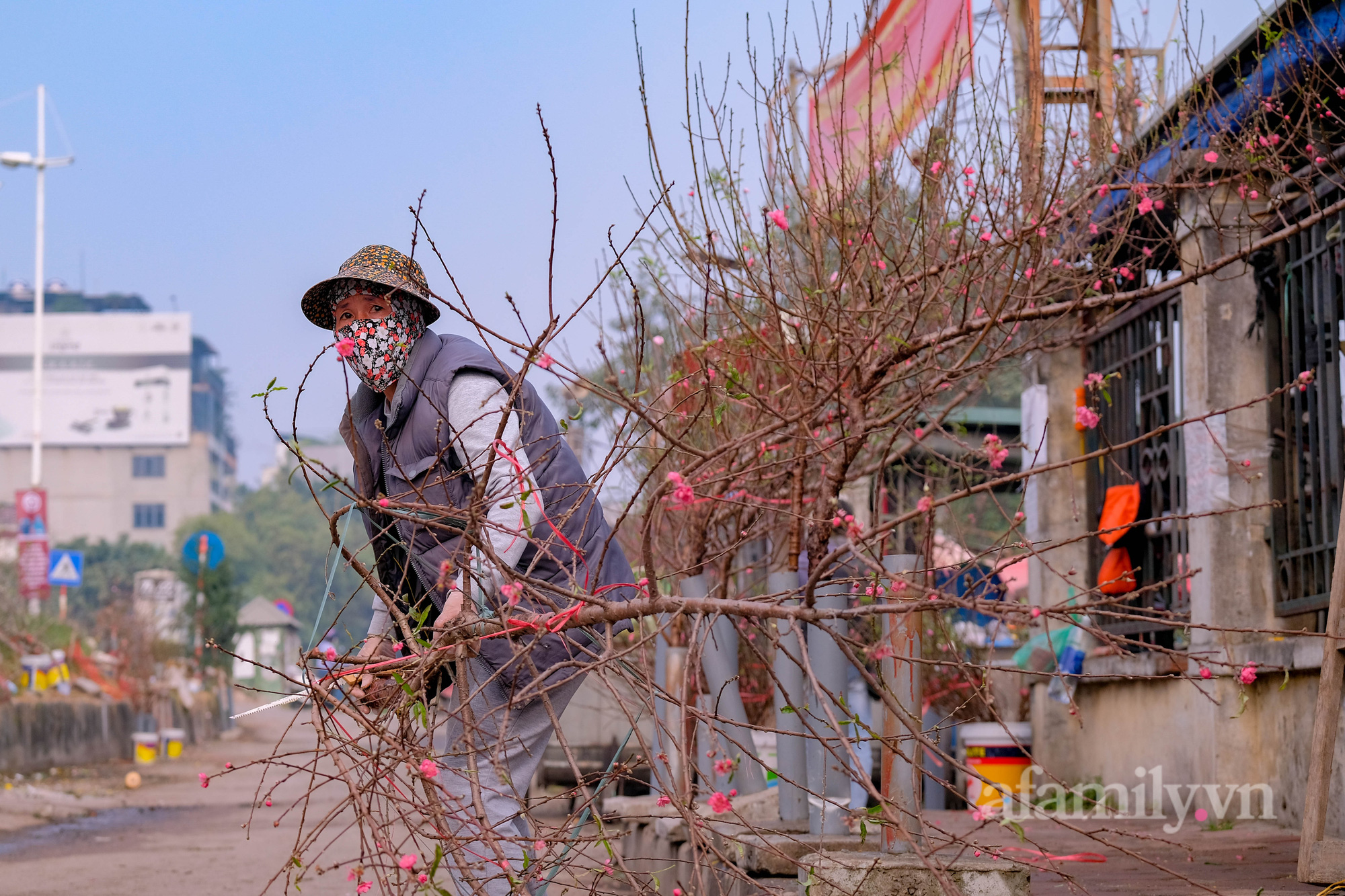 Đào Nhật Tân xuống phố sớm, khách mở hàng trả giá rẻ, tiểu thương thà ế chứ không bán - Ảnh 11.