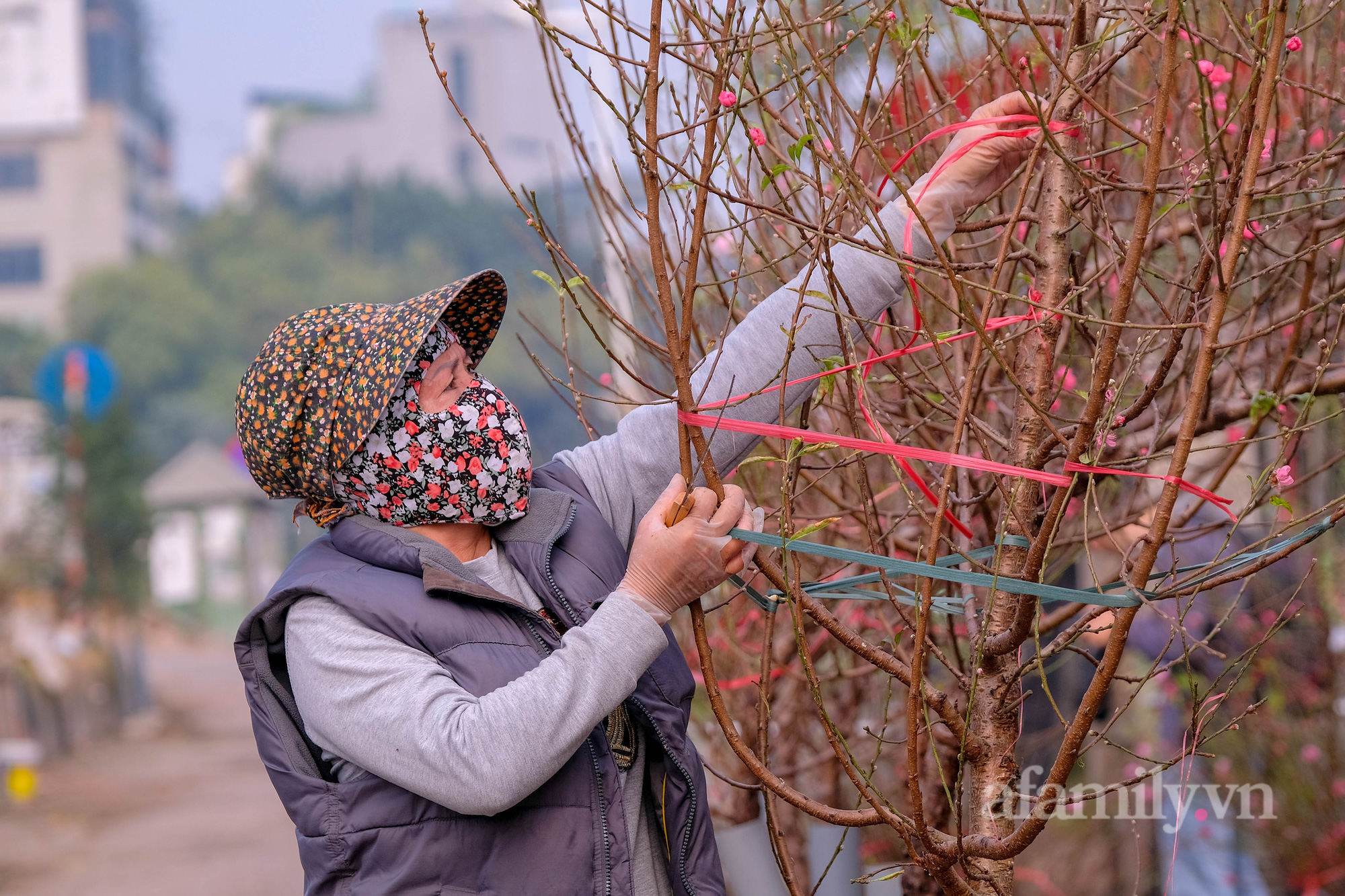 Đào Nhật Tân xuống phố sớm, khách mở hàng trả giá rẻ, tiểu thương thà ế chứ không bán - Ảnh 12.