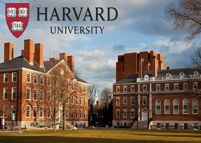 Sinh viên Harvard không thông minh như tưởng tượng: Chỉ cần có 3 chữ 