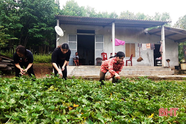 Khi bánh đúc có xương: Người phụ nữ nuôi 8 con riêng đau ốm của chồng và những “dì ghẻ” dành một đời cho những đứa con không chung dòng máu - Ảnh 4.