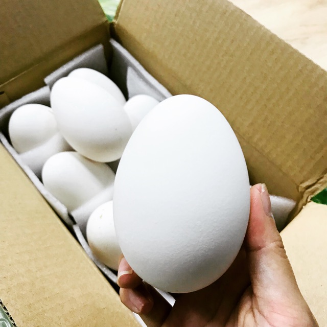 Trứng ngỗng có bổ hơn trứng gà? Câu trả lời bất ngờ từ chuyên gia - Ảnh 1.