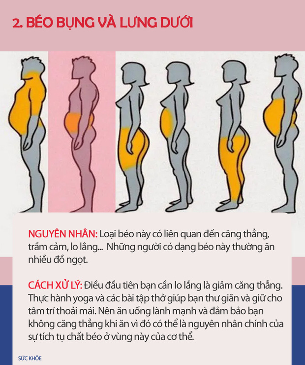 Nếu thấy mình có vẻ béo, hãy xem hình dưới đây để biết thừa mỡ ở chỗ nào trên cơ thể và cách xử lý chúng nhanh nhất có thể - Ảnh 2.