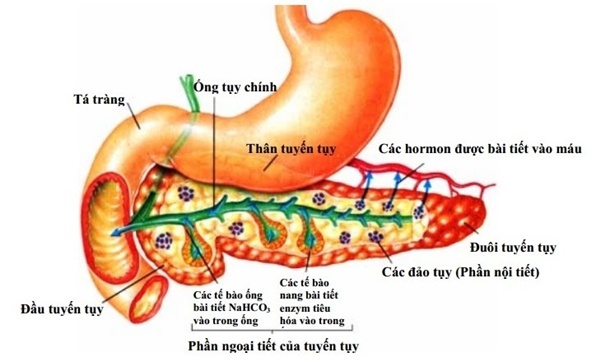 Viêm tụ  - Ảnh 3.