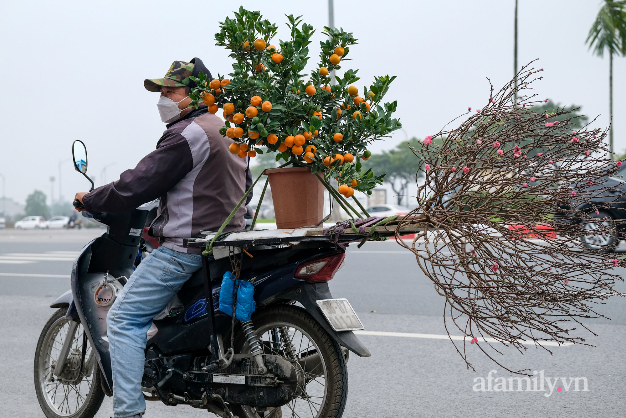 26 Tết, đào quất đổ ra đường 