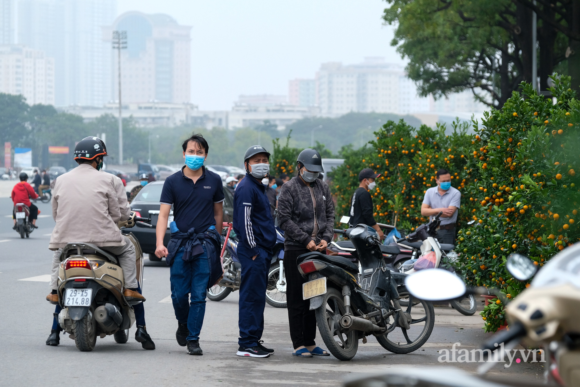 26 Tết, đào quất đổ ra đường 