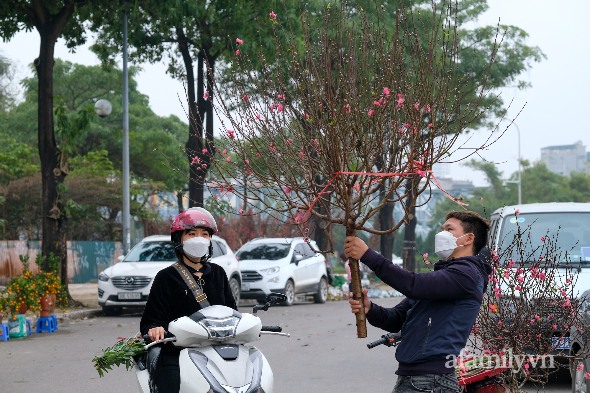 26 Tết, đào quất đổ ra đường 