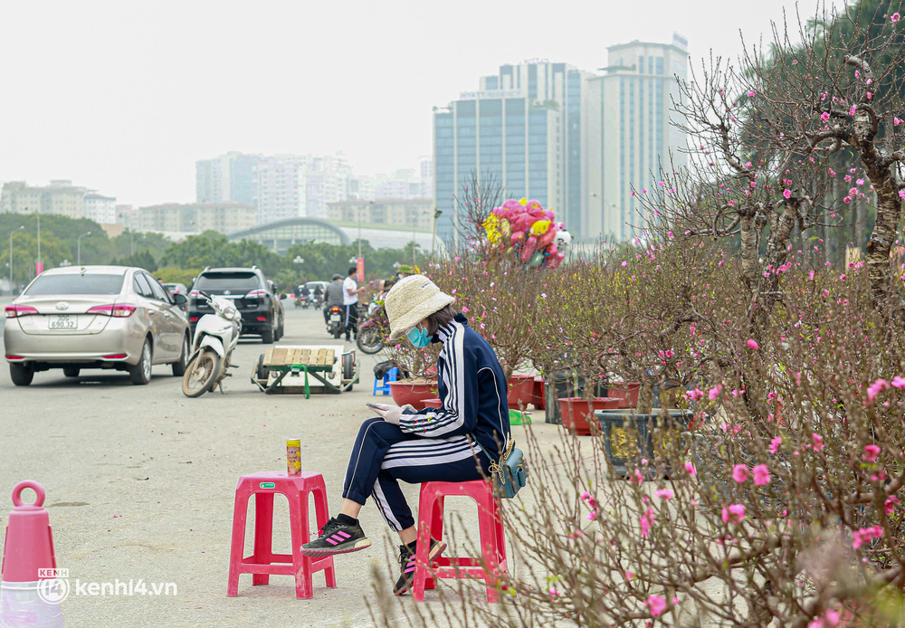 Hà Nội: Tiểu thương giảm nửa giá những gốc đào khủng ngày cận Tết, khách vẫn ngó lơ - Ảnh 9.