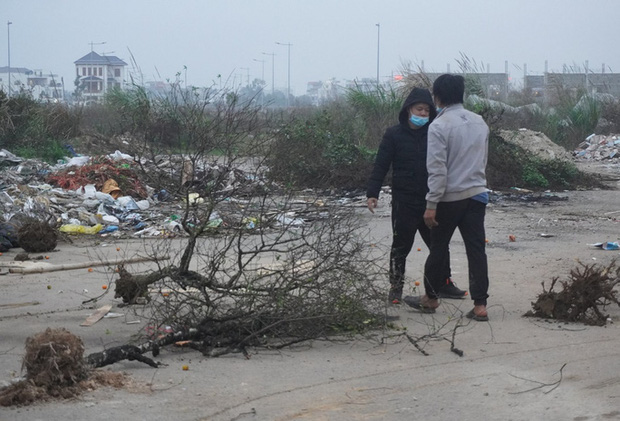 Giá quá thấp, thương lái chém bỏ đào giữa phố - Ảnh 6.