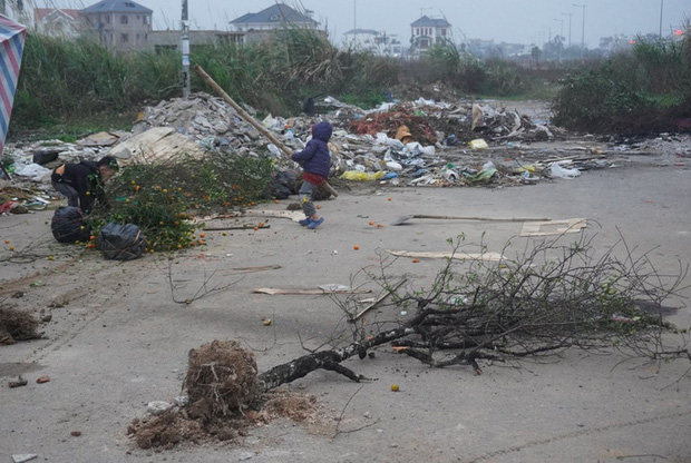 Giá quá thấp, thương lái chém bỏ đào giữa phố - Ảnh 7.