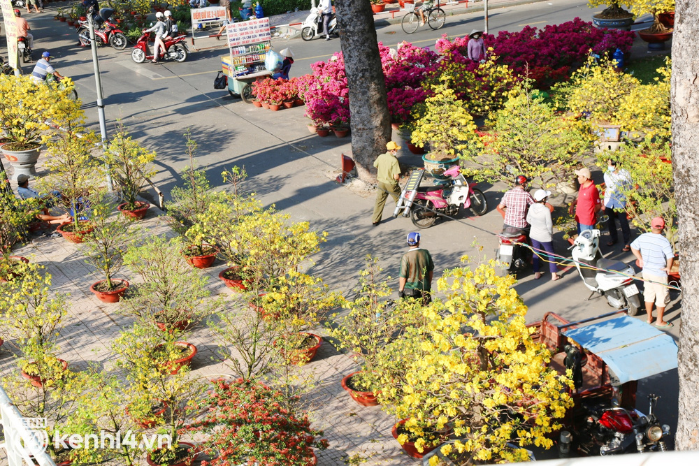 Tiểu thương Sài Gòn cắt bỏ phần hoa ế trưa 29 Tết, bán đổ bán tháo để về nhà: Giờ chỉ còn 20k, 30k/chậu mà có người vẫn trả giá thì chịu, chị không bán, thà lỗ luôn... - Ảnh 10.