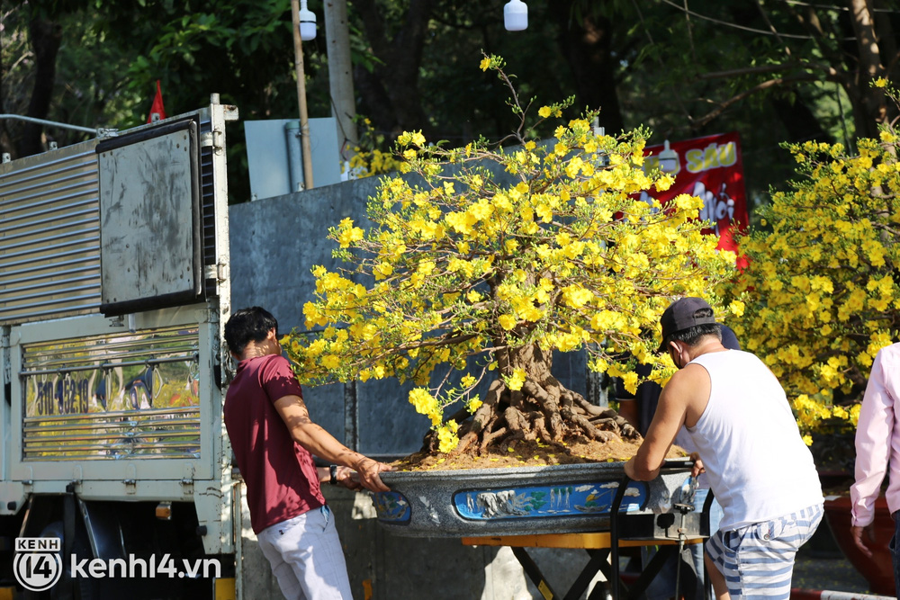 Đại hạ giá sáng 29 Tết mà người dân chỉ đến xem hoa, tiểu thương ngậm ngùi cắt cành than thở: Chưa năm nào ế như năm nay - Ảnh 15.