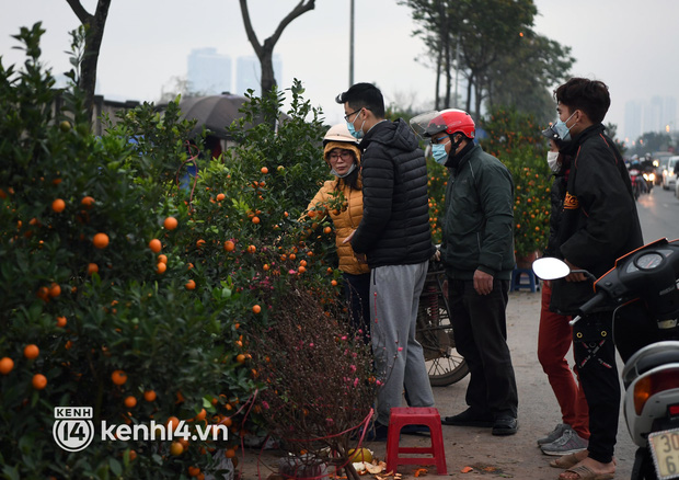 Chùm ảnh: Nhiều điểm báo đào, quất tại Hà Nội xả hàng để nghỉ Tết sớm - Ảnh 5.