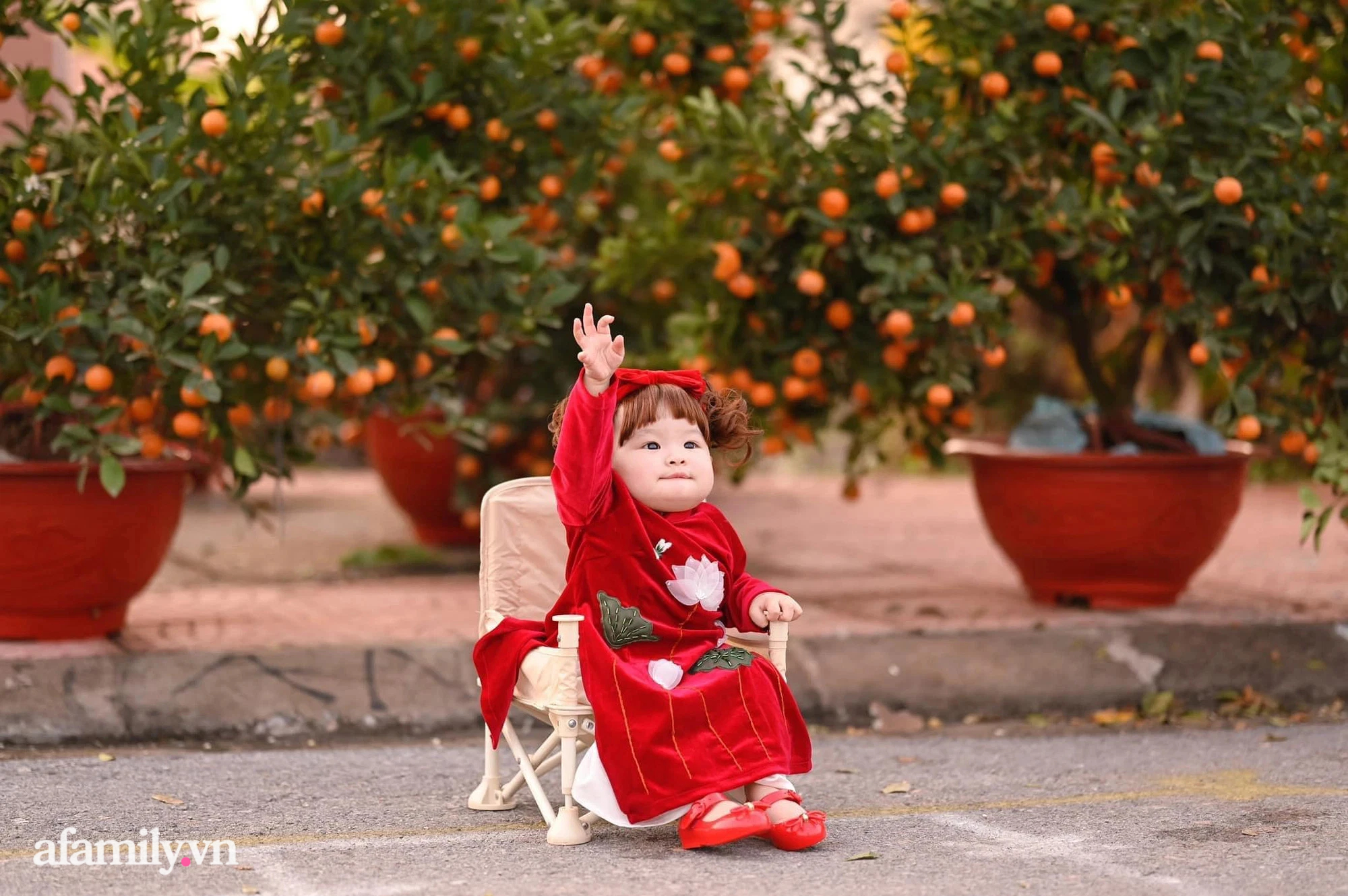 Bé gái 9 tháng lần đầu... bán quất cảnh có đôi mắt híp siêu yêu, dân tình thốt lên: Chốt đơn ầm ầm thôi!  - Ảnh 1.