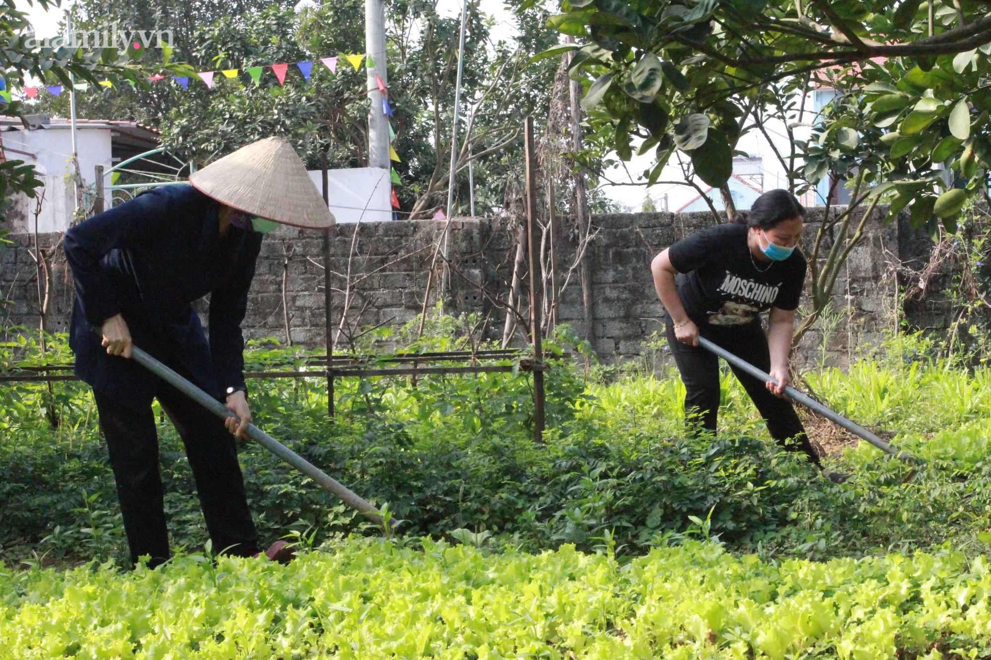 Các sơ trồng rau tại vườn tự cung cấp cho bữa ăn