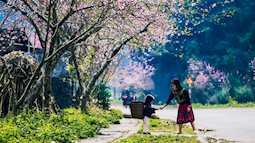 Miền Bắc rét đậm, rét hại tới bao giờ?