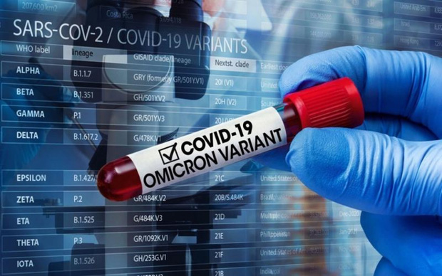 Nhiễm Omicron sau khi tiêm vaccine có thể sinh kháng thể chống lại biến thể khác - Ảnh 1.