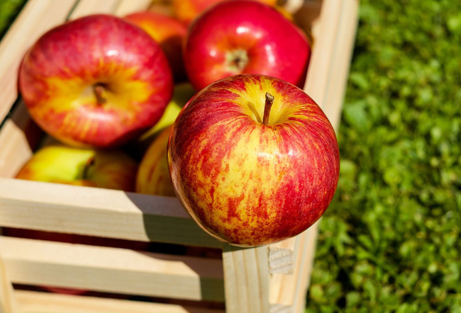 Ăn táo mỗi ngày giúp phổi sạch khỏe: Tiết lộ thời điểm ăn táo tốt nhất trong ngày để thải độc, cả đời không lo ung thư phổi và nhiều bệnh tật khác - Ảnh 1.