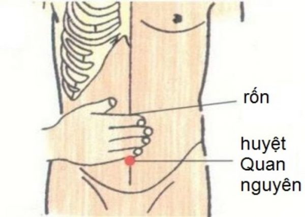 Phụ nữ có buồng trứng khỏe mạnh thường làm 4 điều trước khi ngủ, 3 thực phẩm nên ăn nhiều để nuôi dưỡng và ngăn ngừa lão hóa buồng trứng sớm  - Ảnh 2.