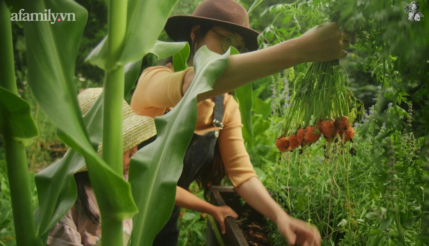 Mãn nhãn ngôi nhà khung gỗ 152 năm tuổi đẹp yên bình và thơ mộng như cổ tích của mẹ Việt ở Đức - Ảnh 28.