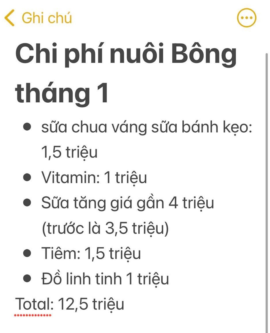 Hội bỉm sữa thi nhau tung bảng chi tiêu nuôi con hàng tháng sau khi sữa... lại tăng giá, nuôi 1 đứa con bây giờ tốn kém đến nhường nào? - Ảnh 2.