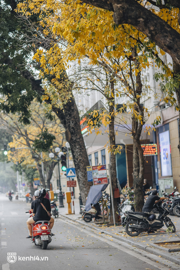 Dân tình “chạy vội” check-in mùa thay lá ở Hà Nội - thủ đô đang vào những ngày đẹp khó thở! - Ảnh 9.