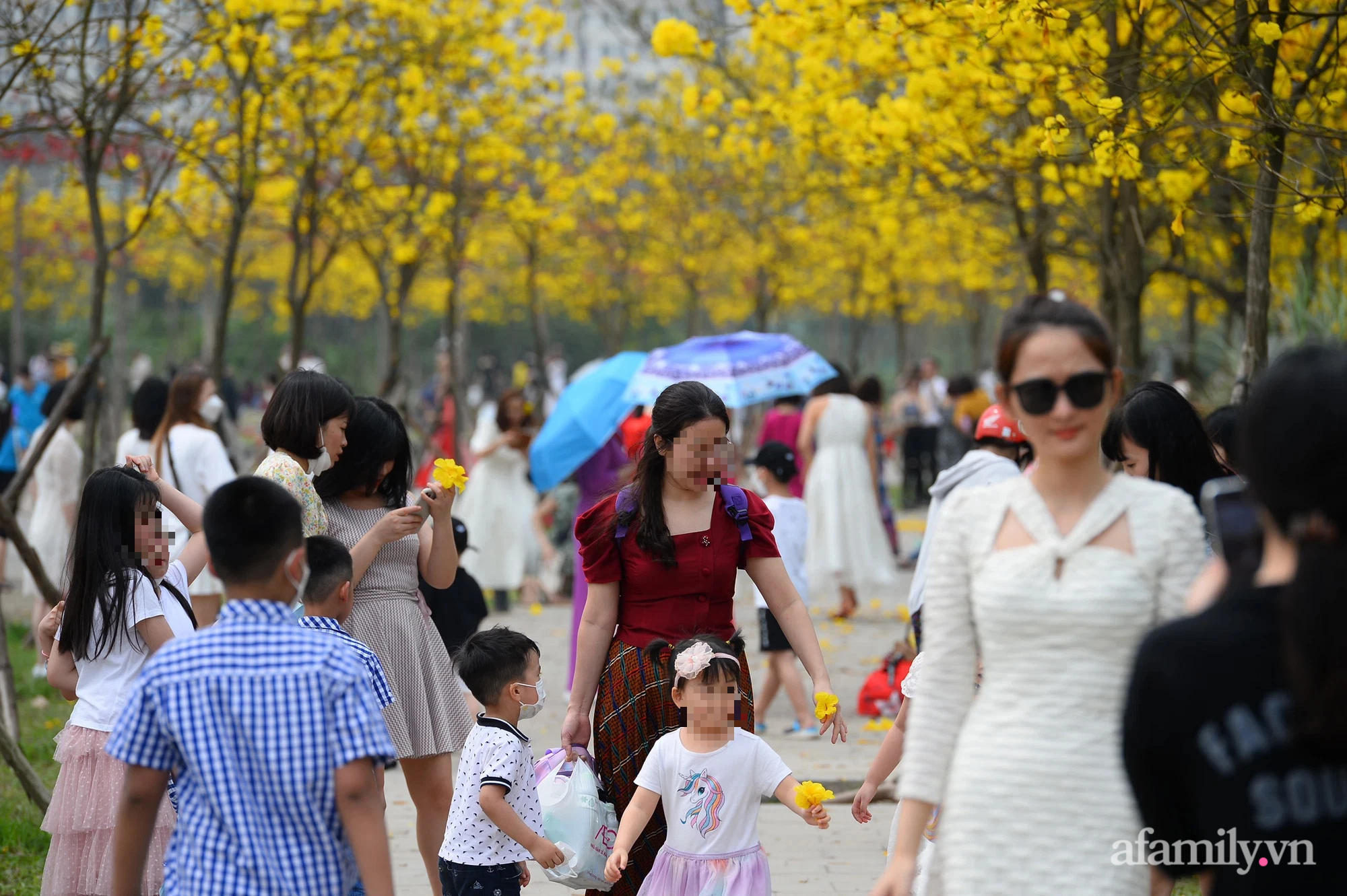 Vụ hàng nghìn người đổ xô đi chụp ảnh ở đường hoa phong linh: Sẽ xử lý đơn vị quản lý nếu để tình trạng tập trung đông người làm lây lan dịch bệnh - Ảnh 2.