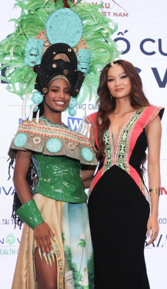 Miss Earth 2021 Destiny Wagner đến Việt Nam làm giám khảo cuộc thi Hoa hậu, nhan sắc ra sao khi so với H'Hien Niê  - Ảnh 1.