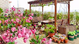 Tận dụng triệt để, không để thừa 1m² nào trên sân thượng, mẹ đảm có được khu vườn hoa tươi rực rỡ lại có cả rau sạch dùng quanh năm