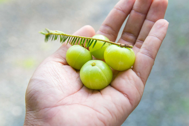 Những loại trái cây mùa hè giàu vitamin C mọi người không nên bỏ qua - Ảnh 4.