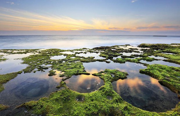 Ngỡ ngàng thảm rêu ở cung đường biển đẹp bậc nhất Việt Nam - Ảnh 1.