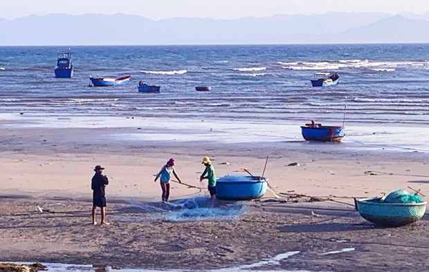Ngỡ ngàng thảm rêu ở cung đường biển đẹp bậc nhất Việt Nam - Ảnh 4.