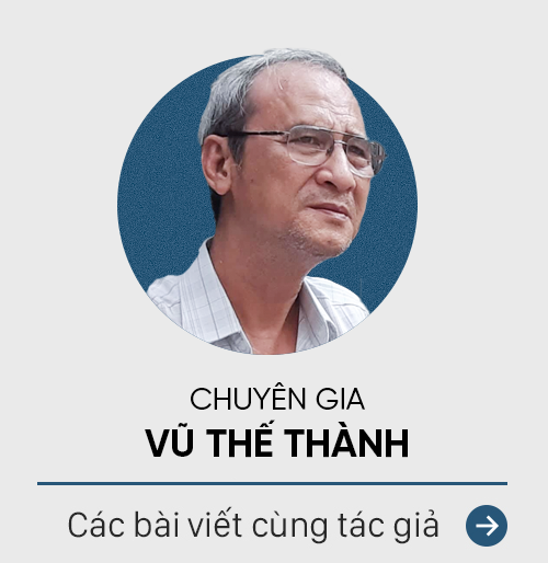 Chuyên gia Vũ Thế Thành: Nhiều người thèm cá ngừ, cá thu lắm mà vẫn kiêng. Thiệt quá uổng! - Ảnh 3.