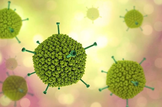 Adenovirus - kẻ tình nghi đứng sau bệnh viêm gan cấp tính ở trẻ em đang khiến thế giới chao đảo - Ảnh 3.