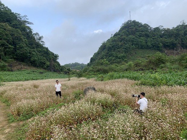 Ngỡ ngàng ngắm hoa tam giác mạch trái mùa ở Hà Giang khiến nhiều du khách không khỏi ngạc nhiên và thích thú - Ảnh 9.