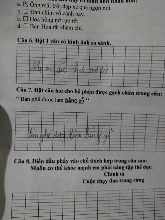 Học sinh Tiểu học đặt câu có hình ảnh so sánh, lấy ngay mẹ làm ví dụ khiến người đọc bật ngửa - Ảnh 1.