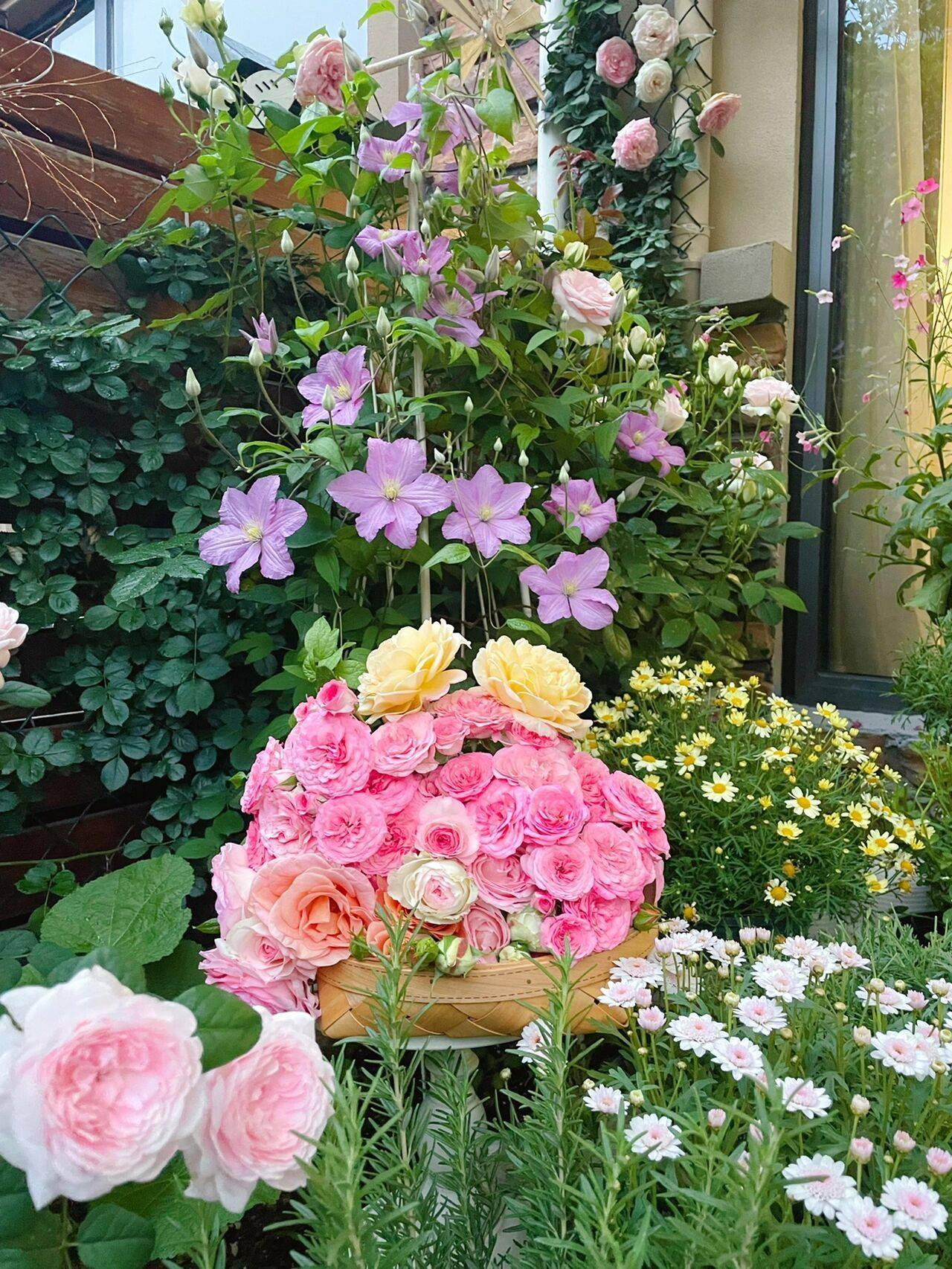 Cô nàng 9x mừng tuổi 31 với căn nhà mới có cả sân trước và sau 300 ngày, khu vườn đã nở rộ đầy hoa - Ảnh 8.