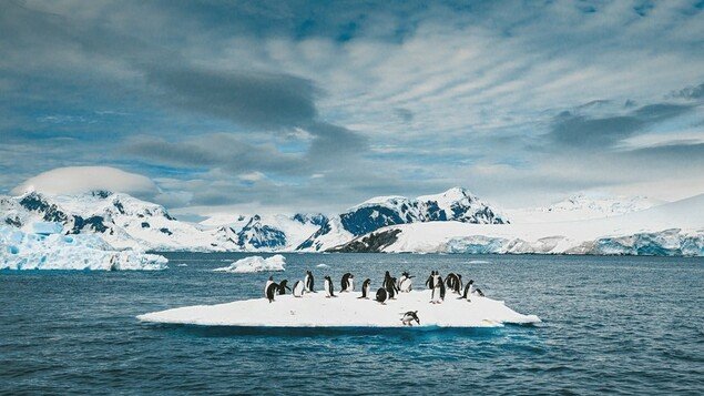 Sông băng Doomsday ở Nam Cực tan nhanh nhất trong 5.500 năm, lời cảnh báo đến hậu quả của biến đổi khí hậu, đe dọa nhấn chìm nơi cư trú của hàng tỷ người - Ảnh 2.