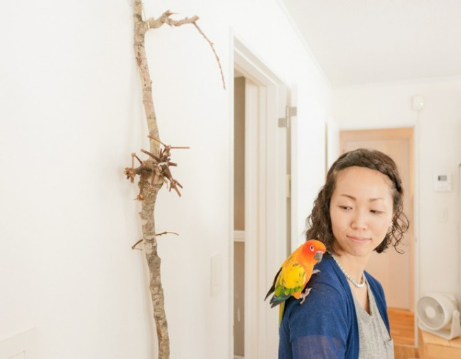 Căn hộ đẹp sống động như công viên với đủ loại thực vật và động vật của cặp đôi người Nhật - Ảnh 14. Căn hộ đẹp sống động như công viên với đủ loại thực vật và động vật của cặp đôi người Nhật - Ảnh 14.