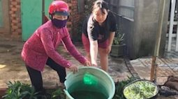 Virus gây sốt xuất huyết ở Bình Phước là chủng có độc lực mạnh