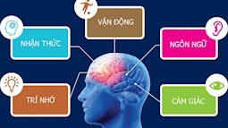 5 việc nên làm giúp tăng cường trí nhớ, phòng bệnh về não