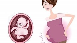 Thời điểm thai nhi "nghịch" nhất trong bụng mẹ, nên tương tác để con thông minh hơn