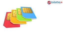 Mua sim số đẹp giá rẻ tại Sim Đại Phát