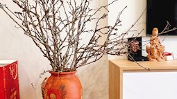 Cành hoa mận rừng tấp nập xuống phố, mua 90 nghìn được hẳn 20 cành cắm quanh nhà
